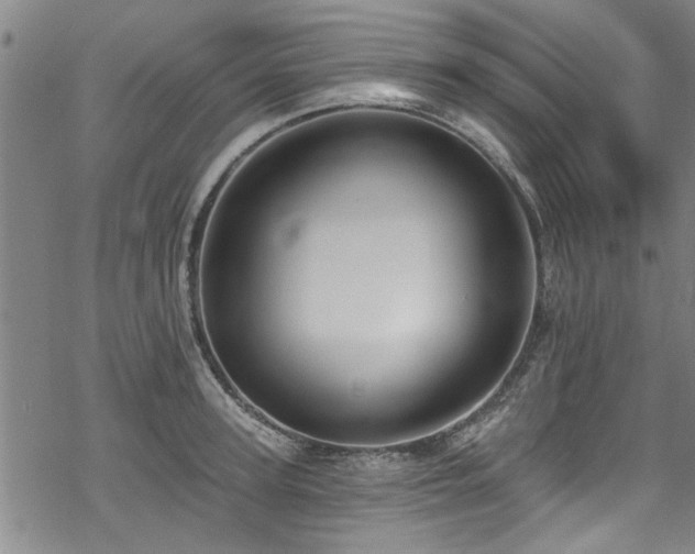 X0000068840947200605051258