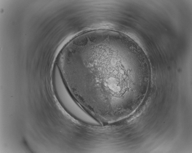 X0000068840949200605051258