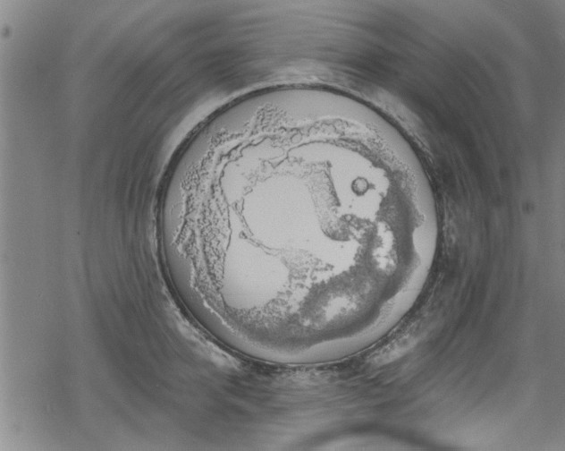 X0000068840950200605051258