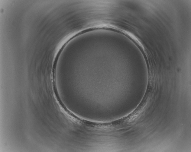 X0000068840951200605051258