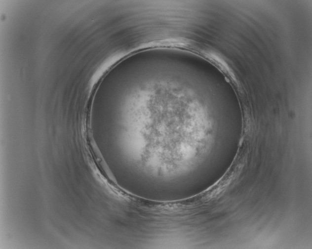 X0000068840952200605051258