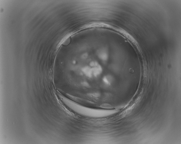 X0000068840953200605051258