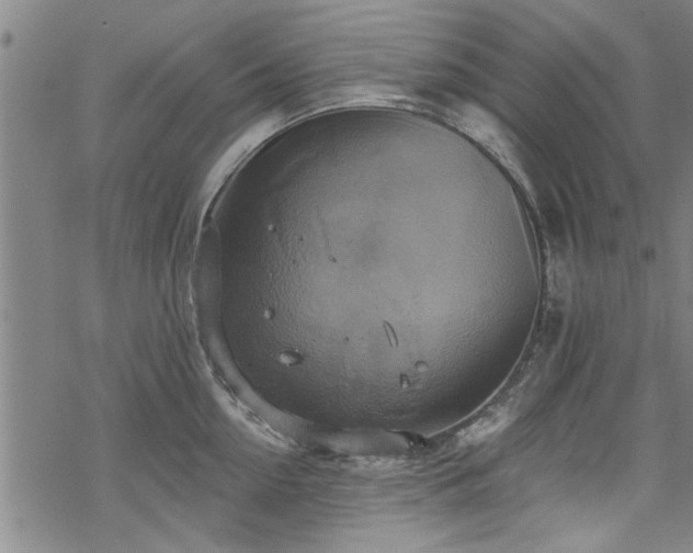 X0000068840954200605051258