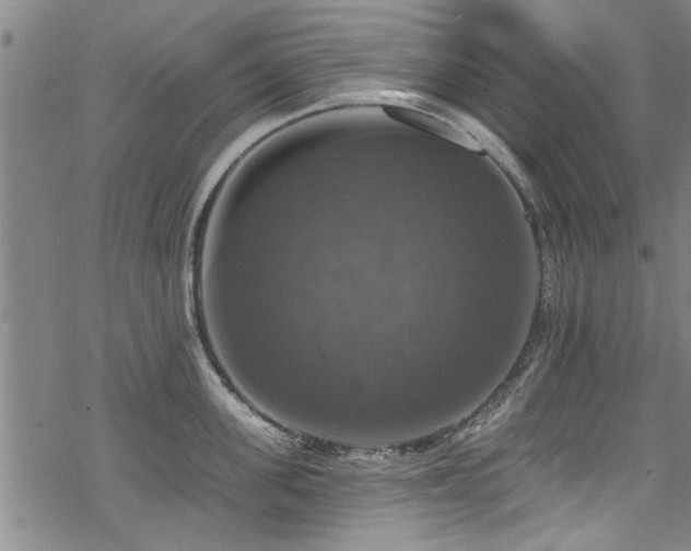 X0000068840955200605051258