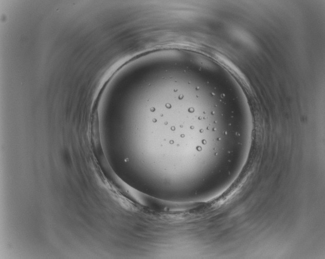 X0000068840956200605051258