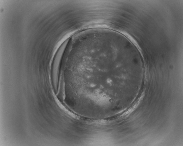 X0000068840957200605051258