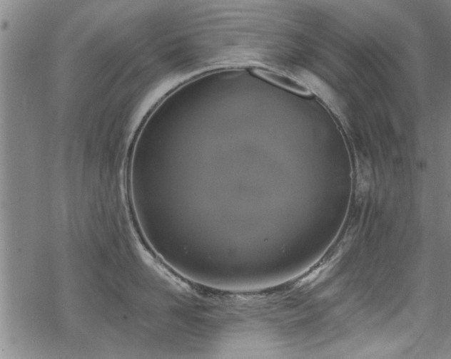 X0000068840958200605051258