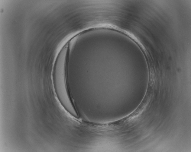 X0000068840959200605051258