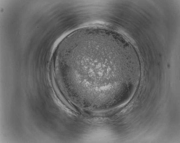 X0000068840960200605051258