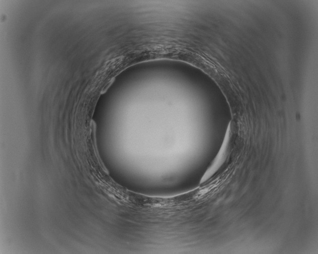 X0000068840961200605051258