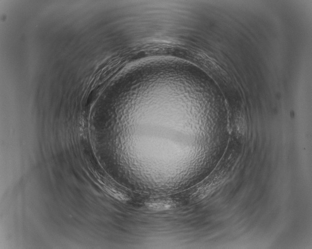 X0000068840964200605051258