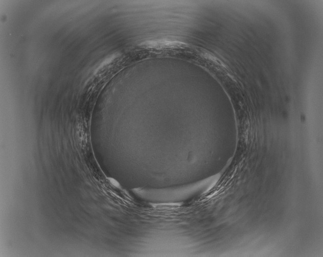 X0000068840966200605051258