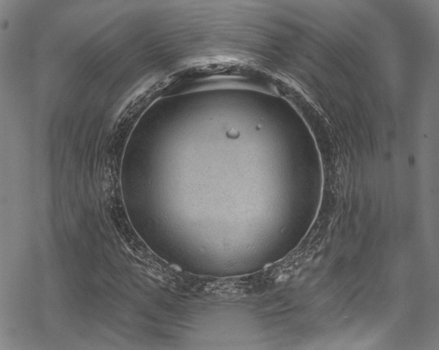 X0000068840967200605051257