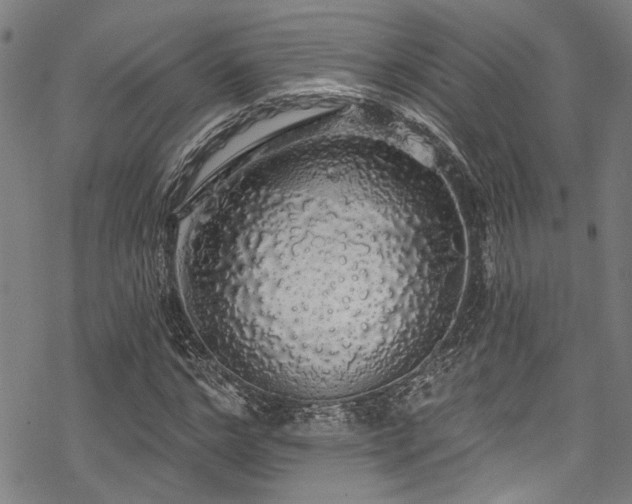 X0000068840968200605051257