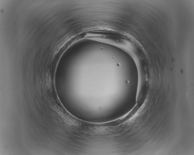 X0000068840969200605051257