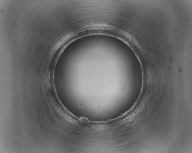 X0000068840970200605051257