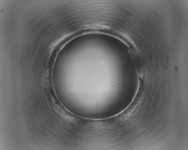 X0000068840971200605051257