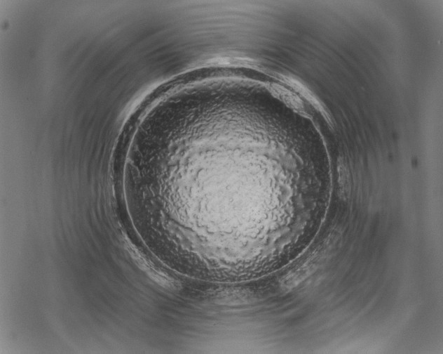 X0000068840972200605051257