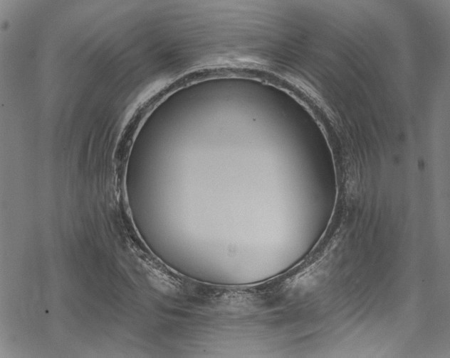 X0000068840974200605051257