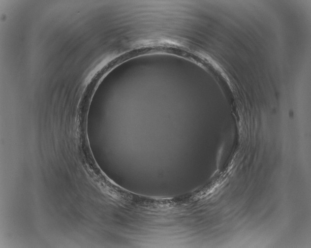 X0000068840975200605051257