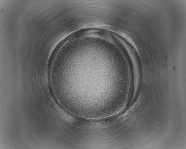 X0000068840976200605051257