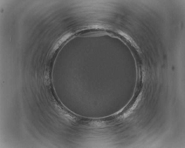 X0000068840977200605051257