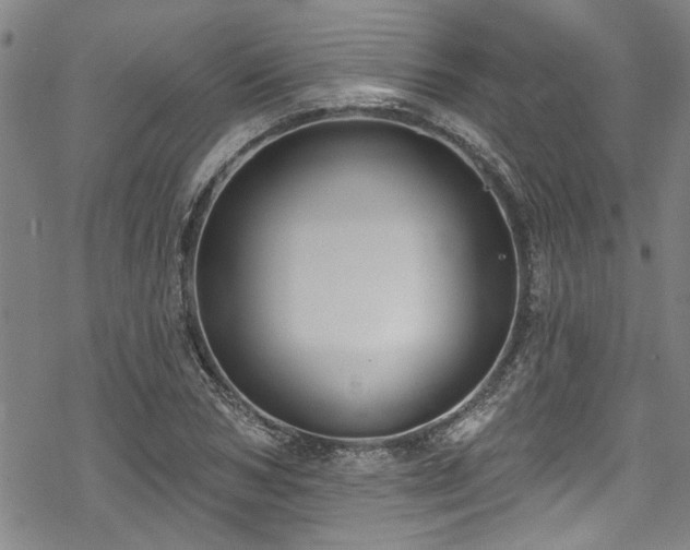 X0000068840978200605051257