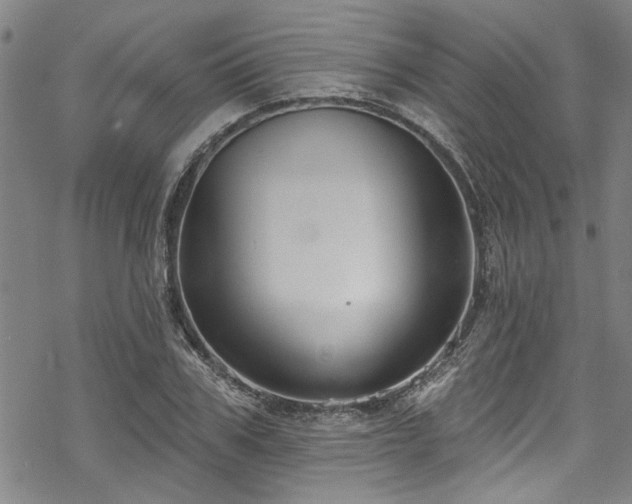 X0000068840979200605051257