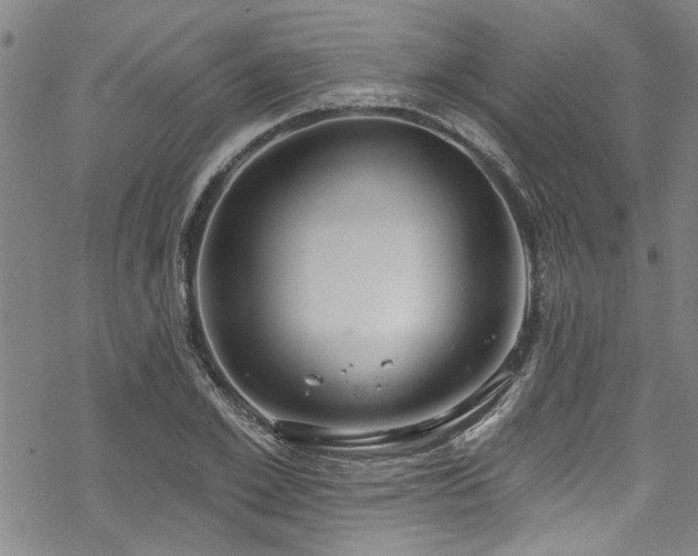 X0000068840981200605051257