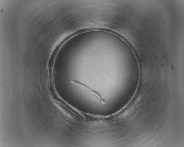 X0000068840982200605051257