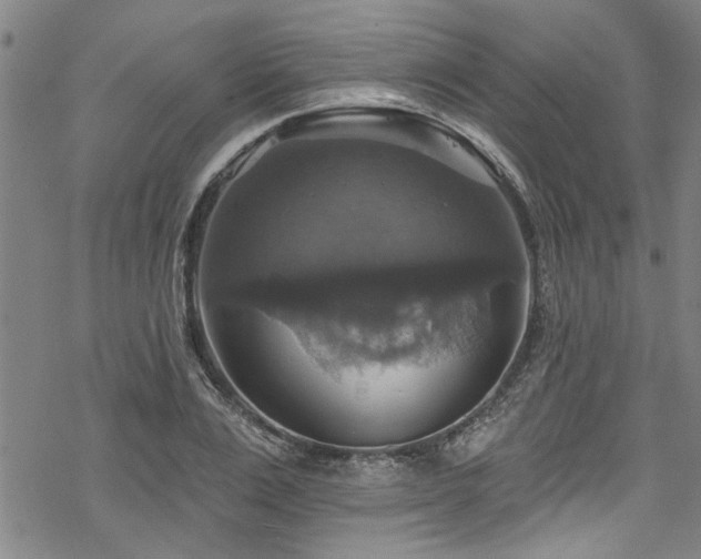 X0000068840983200605051257