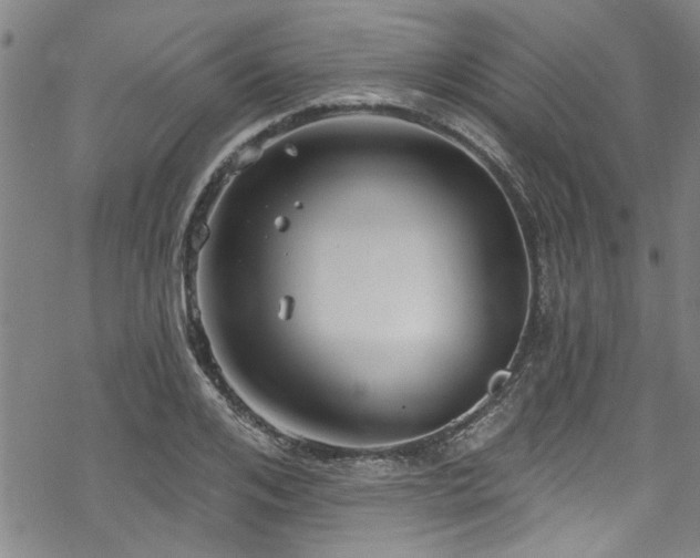 X0000068840984200605051257