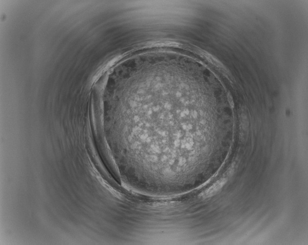 X0000068840985200605051257