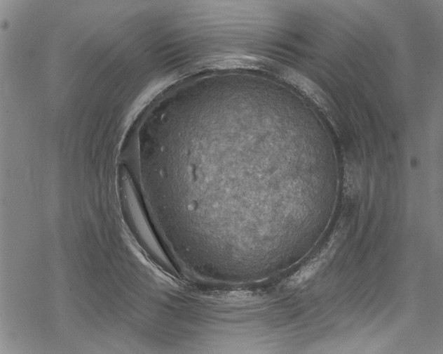 X0000068840986200605051257