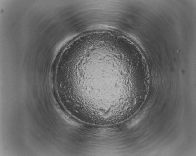 X0000068840987200605051257