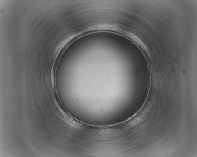 X0000068840988200605051257