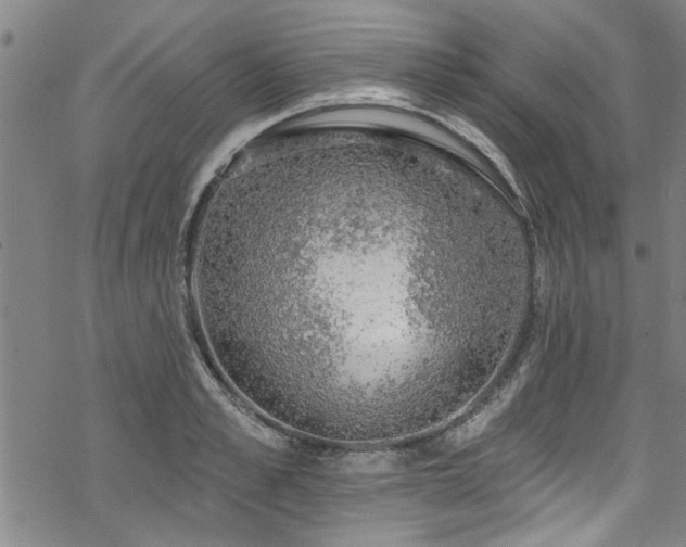 X0000068840989200605051257