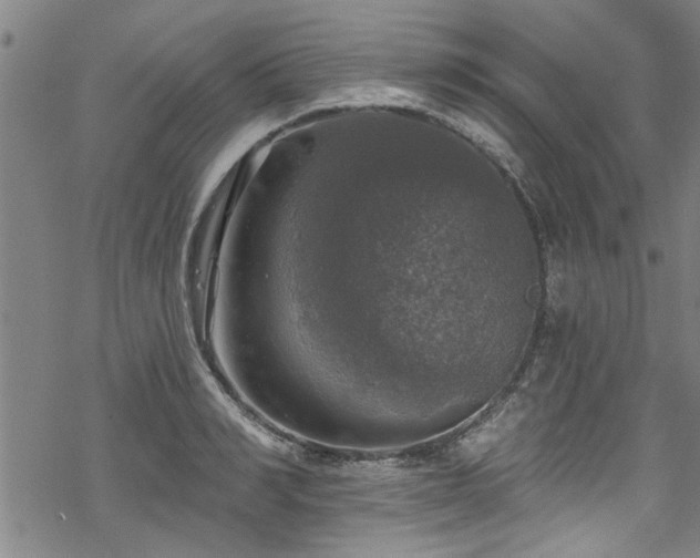 X0000068840990200605051257