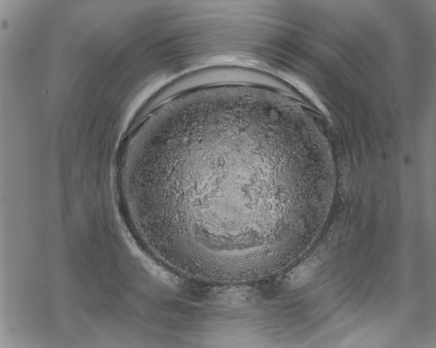 X0000068840991200605051257