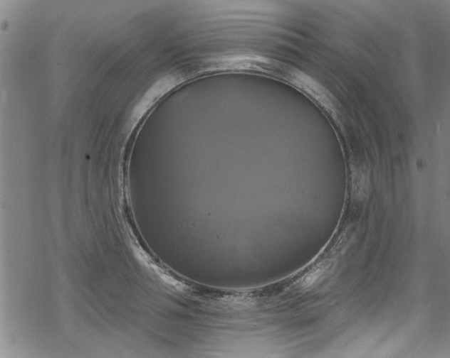 X0000068840994200605051257