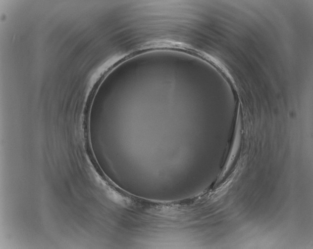 X0000068840995200605051257