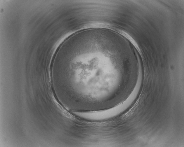 X0000068840996200605051257