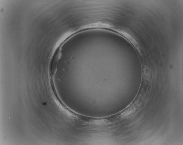 X0000068840998200605051257