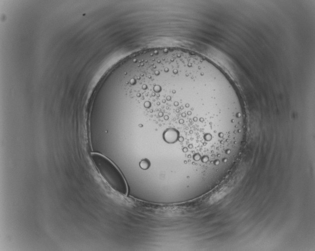 X0000068841000200605051257