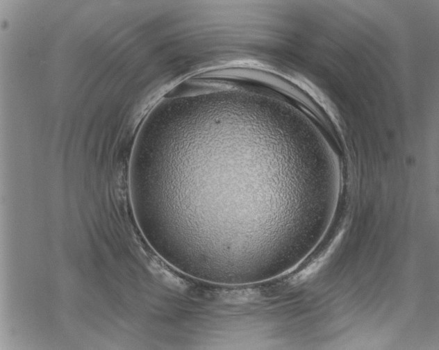 X0000068841001200605051257