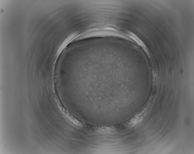 X0000068841002200605051257