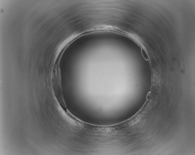 X0000068841003200605051257