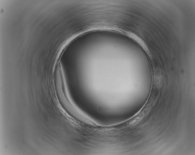 X0000068841004200605051257