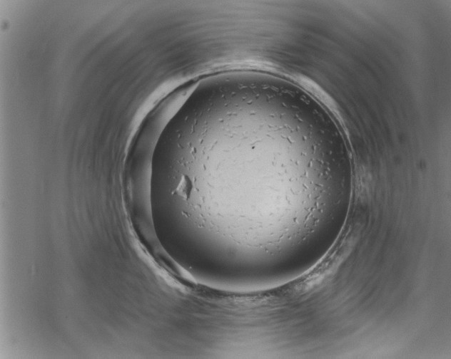 X0000068841005200605051257