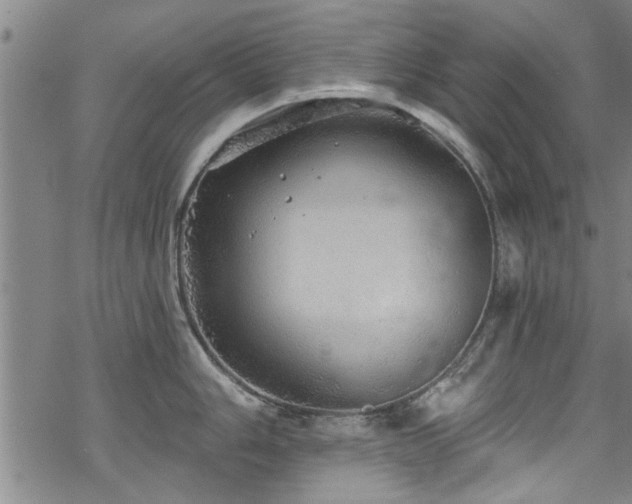 X0000068841006200605051257